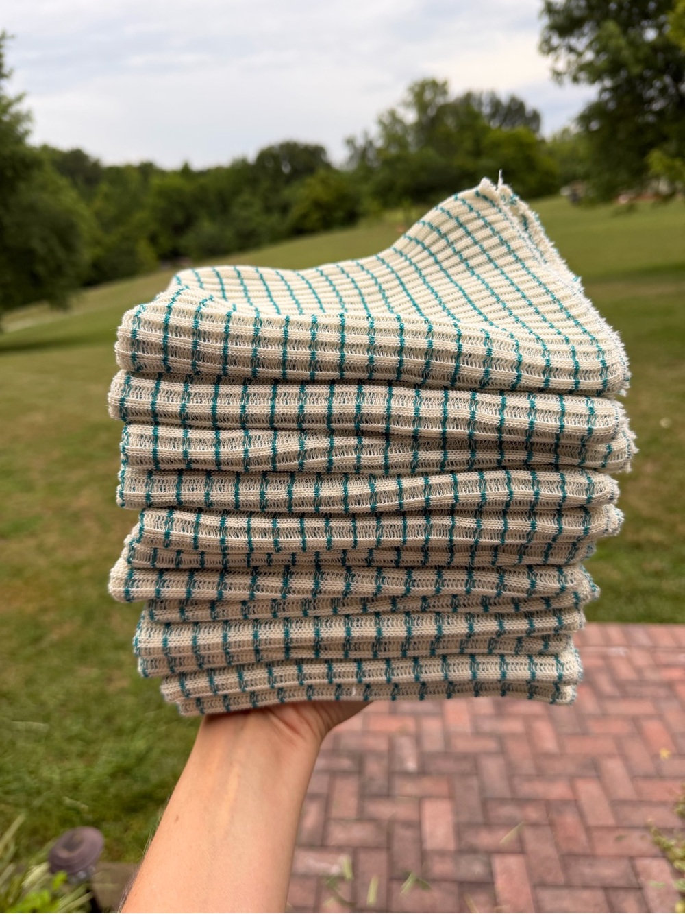Amish Store Dishcloths- World’s Best Dishcloth! Set of 12